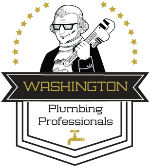Washington Plumbing Professionals